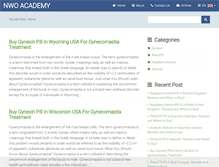 Tablet Screenshot of nwoacademy.com